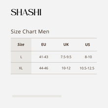 Load image into Gallery viewer, Basics men